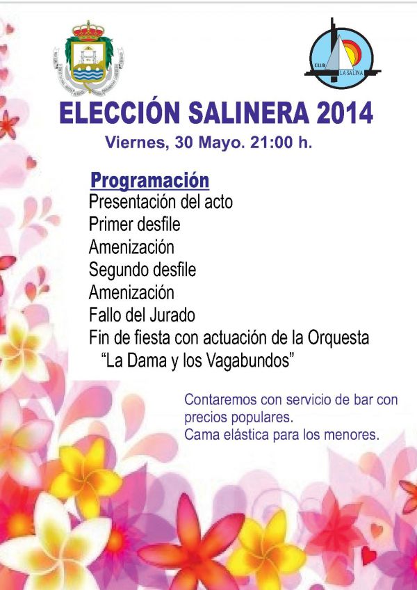 ELECCIÓN SALINERA 2014